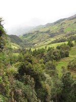 Andean View