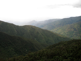 Cajanuma View
