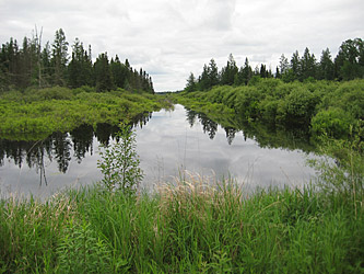 View from the Hedbom Logging Trail