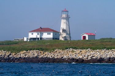 Machias Seal Island Light
