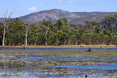 Mareeba Wetlands