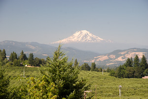 Mount Rainier