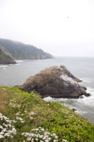 View from Heceta Head