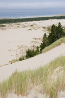 Oregon Dunes