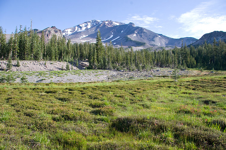 [Mt. Shasta and Panther Meadow]