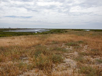 Odiel Marshes