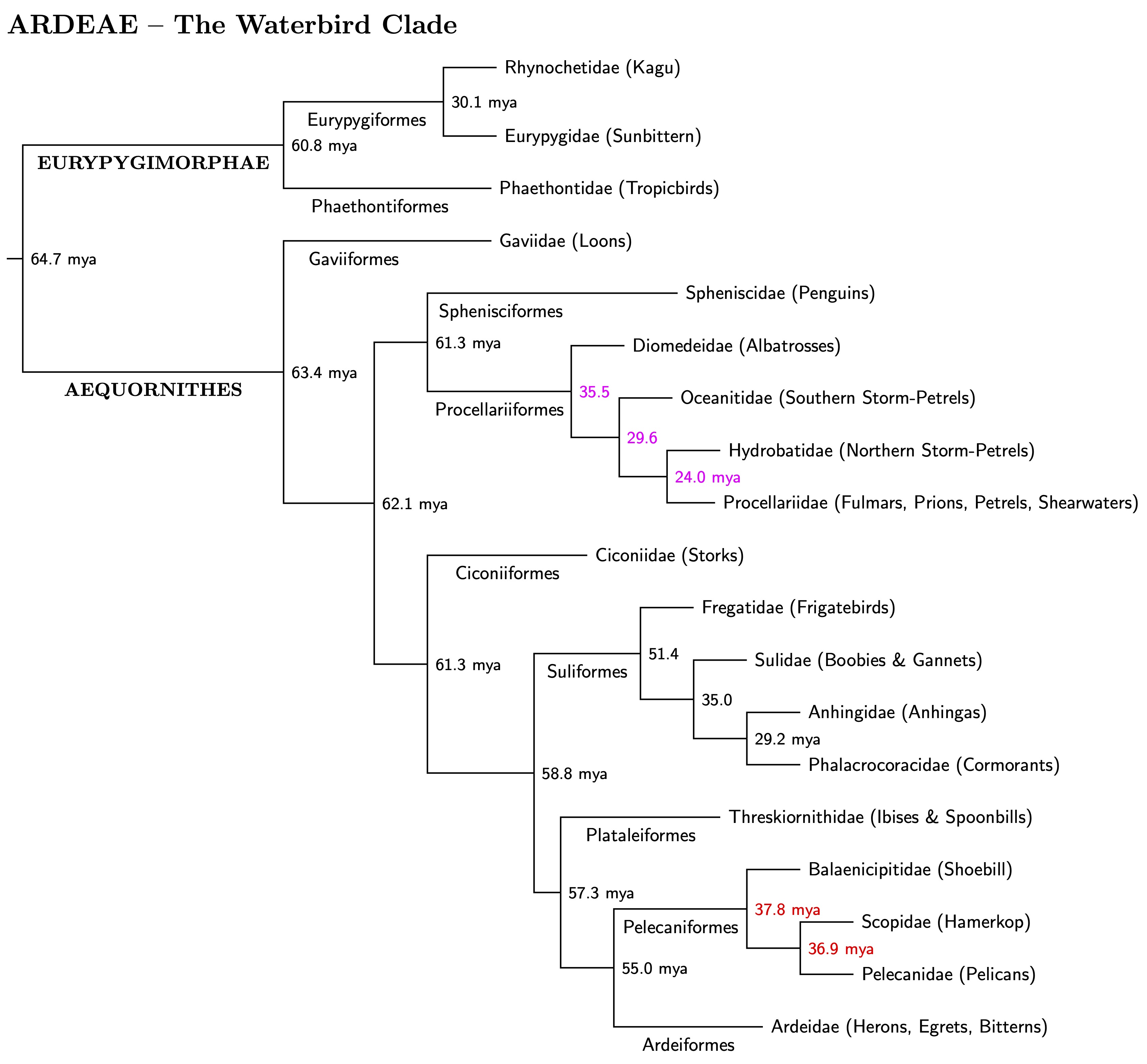 Click for Ardeae genus tree