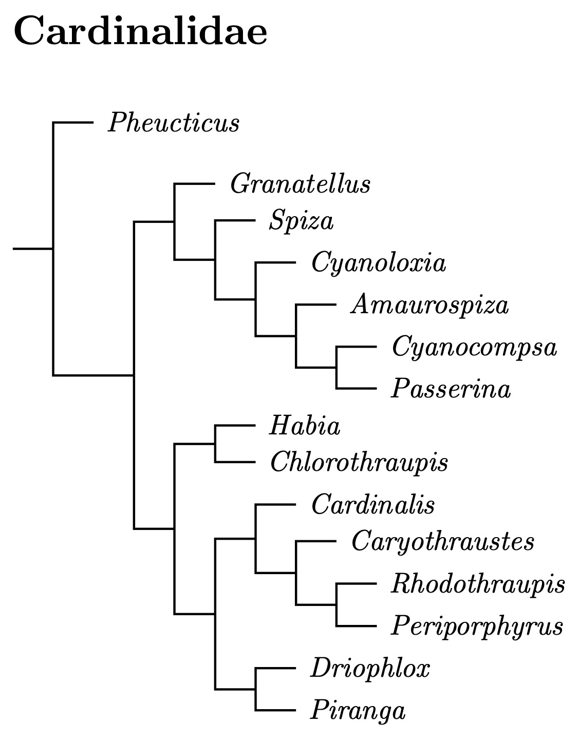 Click for Cardinalidae tree