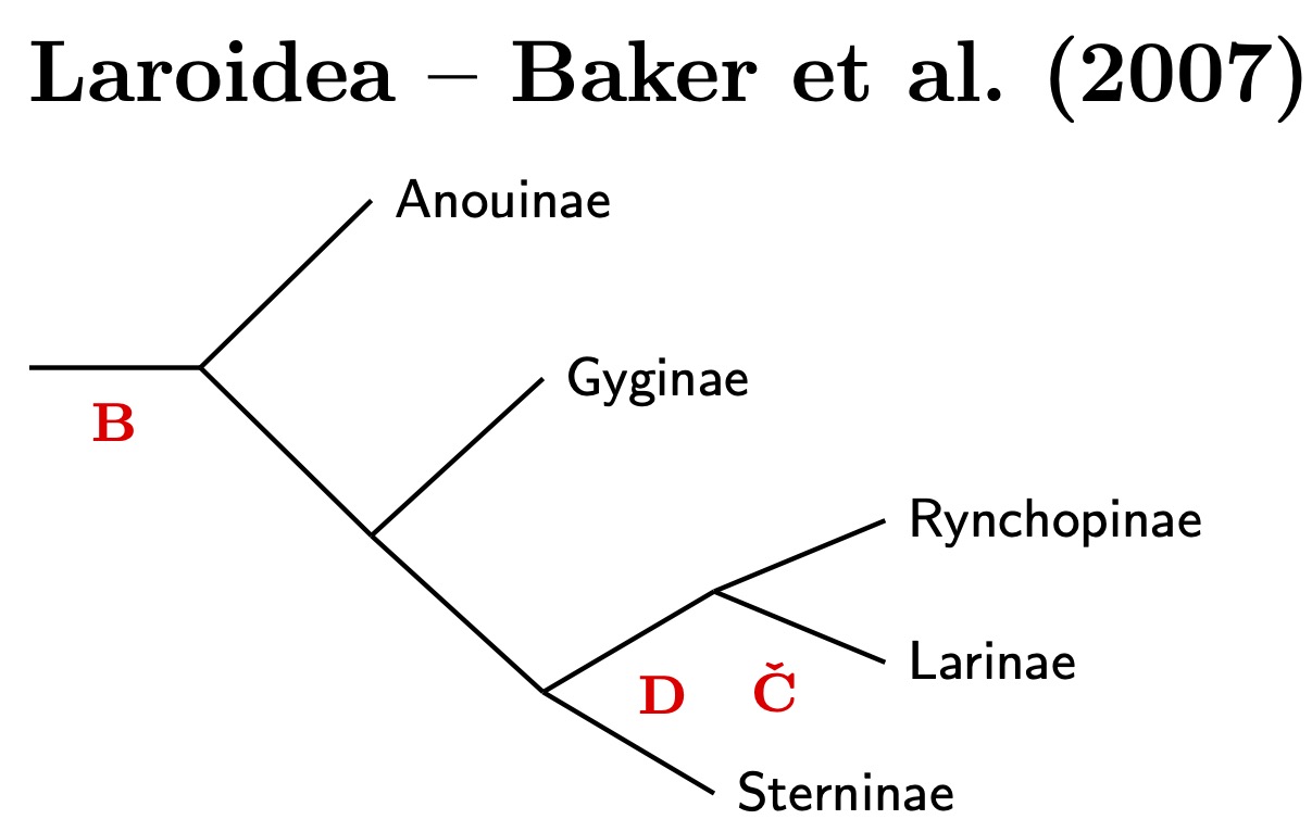 Laroidea Subfamilies