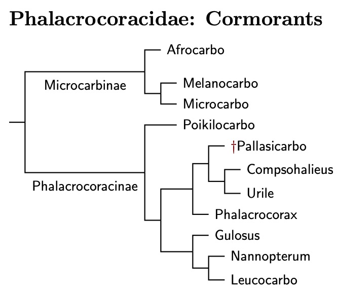 Click for Phalacrocoracidae tree