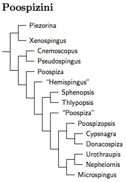 Click for Poospizini tree