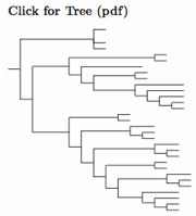 Click for Tyrannidae species tree