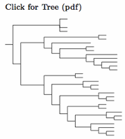 Click for Burhinidae species tree